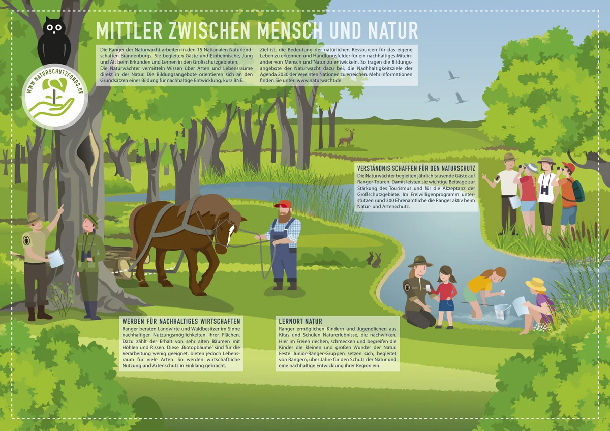 Illustration von Jenne Baule-Prinz: Infografik / Stiftung NaturSchutzFonds