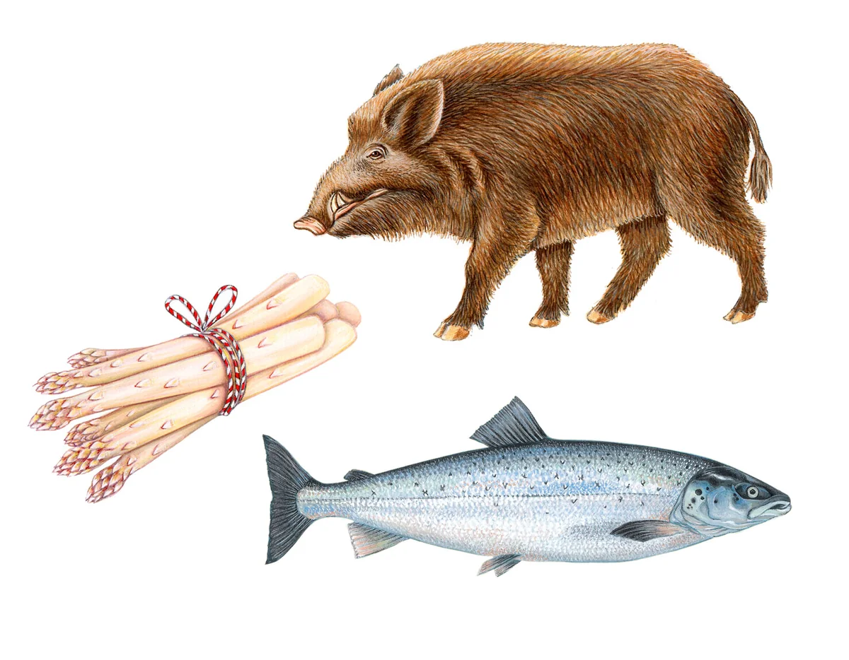 Illustration von Jenne Baule-Prinz: Jubiläums-Aquavit-Motive für Grabarz & Partner