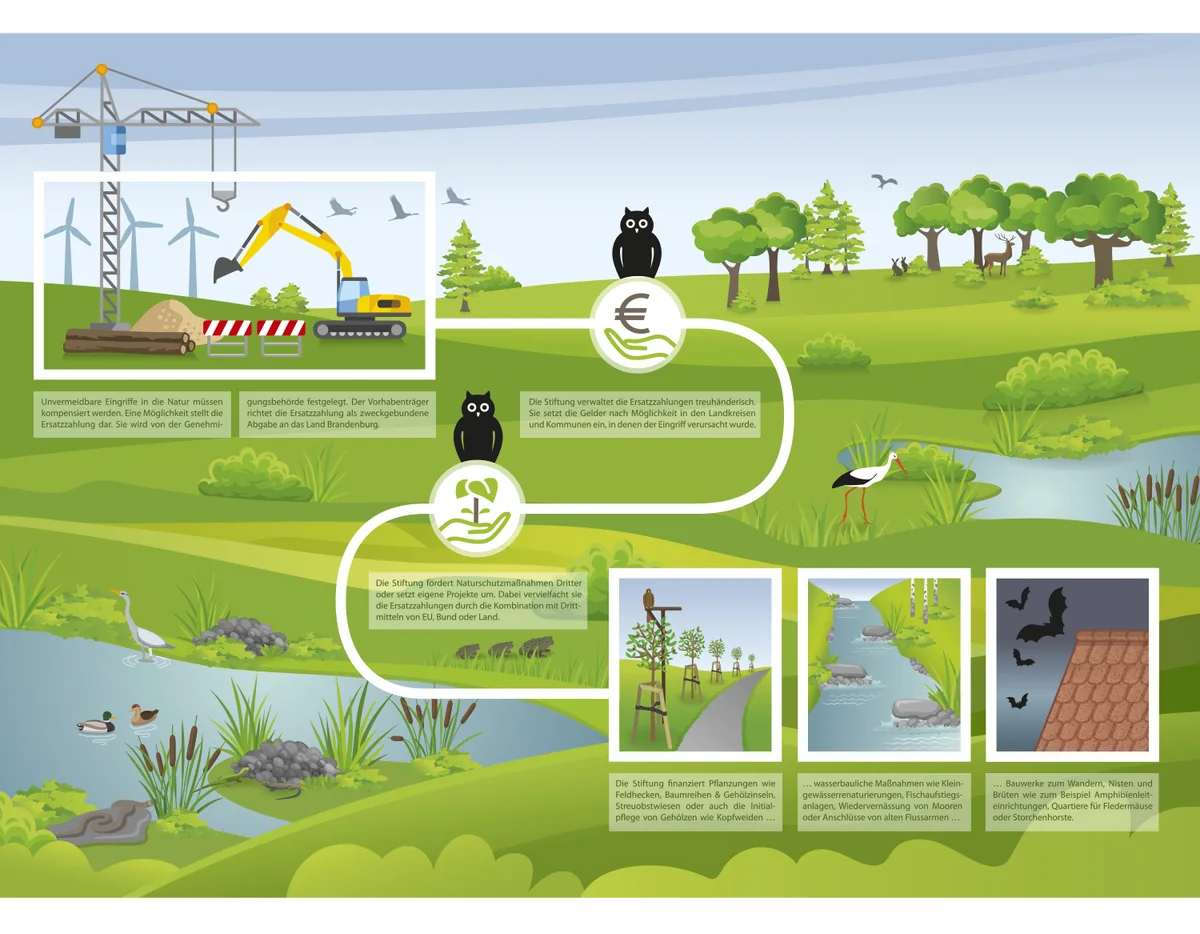 Illustration von Jenne Baule-Prinz: Infografik / Stiftung NaturSchutzFonds
