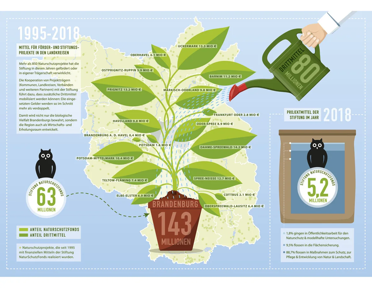 Illustration von Jenne Baule-Prinz: Infografik / Stiftung NaturSchutzFonds